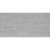 Carrelage sol et mur gris clair 31 x 61,8 cm Palmarola (vendu au carton)