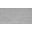 Carrelage sol et mur gris clair 31 x 61,8 cm Palmarola (vendu au carton)