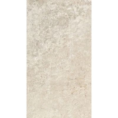 Carrelage sol et mur gris clair effet béton L.59,5 x l.29,5 cm x ép.8,7 mm, Arina