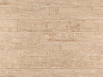 Carrelage sol et mur intérieur effet bois brut L.120 x l.23 cm x ép.9,7 mm, Endor
