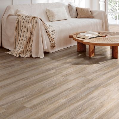 Carrelage sol et mur intérieur effet bois brut mat L.120 x l.20 cm x ép.9 mm, Kyra Betulla