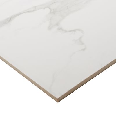 Carrelage sol et mur intérieur effet marbre blanc mat L.60 x l.60 cm x ép.9 mm, Ultimate Marble