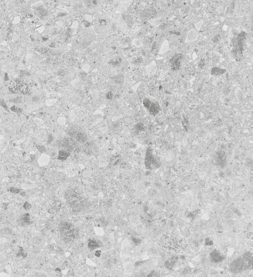 Carrelage sol et mur intérieur effet pierre gris clair L.60 x l.60 cm x ép.10 mm, Geotech