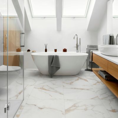 Carrelage sol et mur intérieur en grès cérame effet marbre blanc mat L.60 x l.60 cm x ép.9 mm, Reve