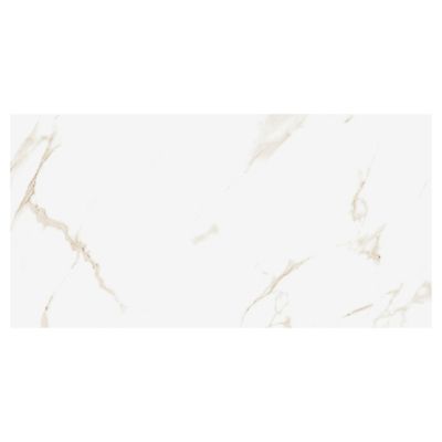 Carrelage sol et mur intérieur en grès cérame émaillé effet marbre blanc mat L.120 x l.60 cm x ép.9 mm, Aster