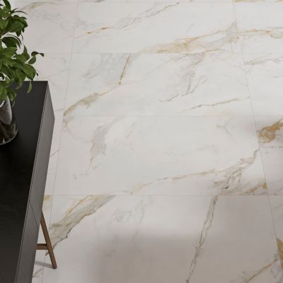Carrelage sol et mur intérieur en grès cérame émaillé effet marbre blanc mat L.120 x l.60 cm x ép.9 mm, Aster