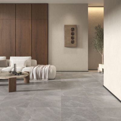 Carrelage sol et mur intérieur gris clair effet pierre L.60 x l.60 cm x ép.7,4 mm, Himalaya