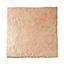 Carrelage sol et mur rose 33 x 33 cm Asiago (vendu au carton)