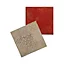 Carrelage sol et mur rouge 45 x 45 cm Antico (vendu au carton)