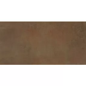 Carrelage sol et mur Ruano oxydé 30 x 60 cm