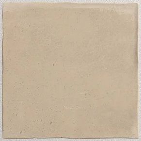 Carrelage sol et mur Zoon beige 10 x 10 cm