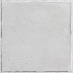 Carrelage sol et mur Zoon blanc 10 x 10 cm