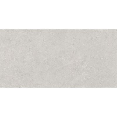Carrelage sol extérieur Atrio gris 60 x 120 cm