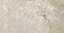 Carrelage sol extérieur Denali beige 30 x 60 cm