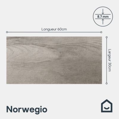 Carrelage sol extérieur effet bois gris clair L.60 x l.30 cm x ép.8,7 mm, Norwegio