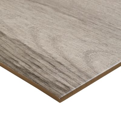 Carrelage sol extérieur effet bois gris clair L.60 x l.30 cm x ép.8,7 mm, Norwegio