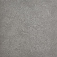 Carrelage sol extérieur gris 31 x 31 cm COLOURS Piètre