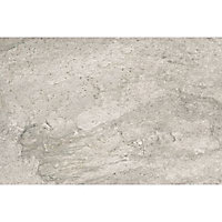 Carrelage sol extérieur gris 40 x 60 cm Oyster