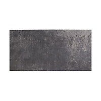 Carrelage sol extérieur gris anthracite 30 x 60 cm Colours Tribeca