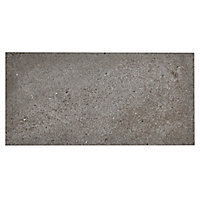 Carrelage sol gris 30 x 60 cm Mile Stone