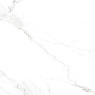 Carrelage sol intérieur grès cérame émaillé effet marbre 60,8 x 60,8 x 3,4 cm blanc