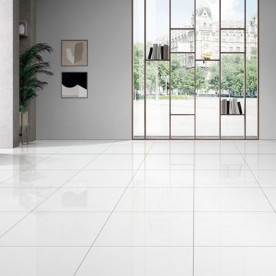 Carrelage sol intérieur blanc poli brillant L.60 x l.60 cm x ép.9,5 mm, Latinie