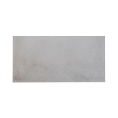 Carrelage sol intérieur gris effet béton L.60 x l.30 cm x ép.10 mm, Smooth