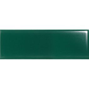 Carrelage sol / mur briquette rectangulaire uni vert émeraude brillant 5X15 cm FÄRGBLOCK LUCIDO SMERALDO FGB107L