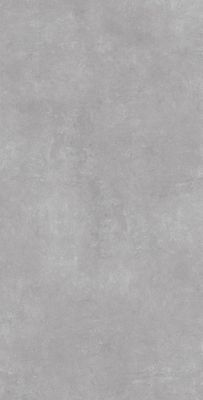 Carrelage sol/mur effet béton ARK SILVER MAT L.120 x l.60cm