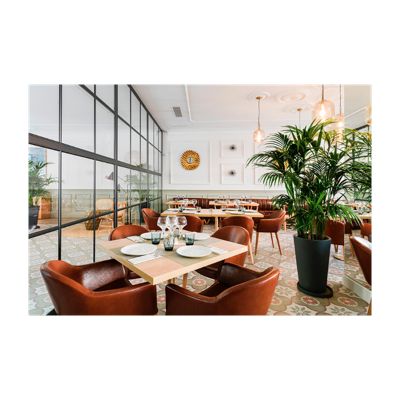 Carrelage sol / mur effet ciment 20x20 cm CAPRICE DECO FLOWER PASTEL
