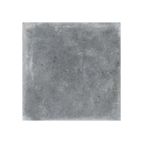 Carrelage sol / mur effet ciment gris 20x20 cm WORLD STREETS ORCHARD GRAFITO