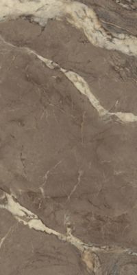 Carrelage sol / mur effet marbre BERRY BROWN l.60 x L.120 cm Brillant LIMCARO