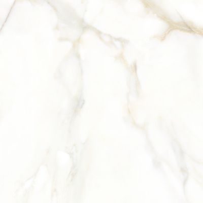 Carrelage sol / mur effet marbre blanc et beige 120x120 cm mate - MYK-CARLO GOLD