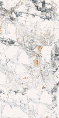 Carrelage sol / mur effet marbre blanc PATAGONIA VEINY l.60 x L.120 cm Brillant LIMCARO