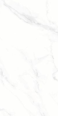 Carrelage sol / mur effet marbre blanc POLARIS BRILLO l.60 x L.120 cm Brilliant LIMCARO