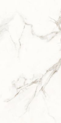 Carrelage sol / mur effet marbre blanc ROME STATUARIO l.60 x L.120 cm Brilliant LIMCARO