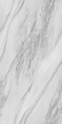 Carrelage sol / mur effet marbre blanc SHADOW GREY l.60 x L.120 cm Brillant LIMCARO