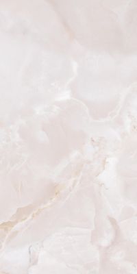 Carrelage sol / mur effet marbre gris GEMME PEARL l.60 x L.120 cm Brillant