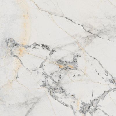 Carrelage sol / mur effet marbre mate 120x120 cm MARBLELOUS R 120x120 cm