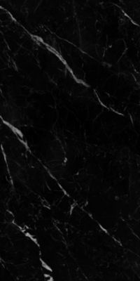 Carrelage sol / mur effet marbre noir SAINT LAURENT l.60 x L.120 cm Brilliant LIMCARO