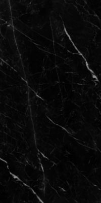Carrelage sol / mur effet marbre noir SAINT LAURENT l.60 x L.120 cm Brilliant LIMCARO