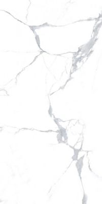 Carrelage sol/mur effet marbre VENATO SMOKE BRILLANT L.120 x l.60cm