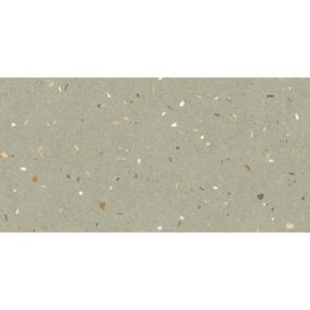 Carrelage sol / mur effet terrazzo 60x120 cm Croccante-R Menta (vendu par boite de 1.44m2)