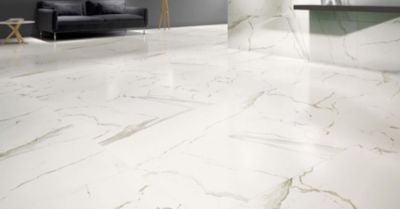 Carrelage sol/mur intérieur effet MARBRE l.60 x L.120 cm ALBATROS
