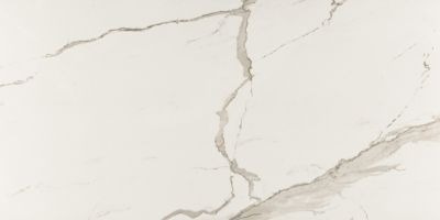 Carrelage sol/mur intérieur effet MARBRE l.60 x L.120 cm ALBATROS
