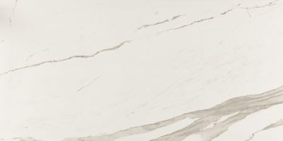 Carrelage sol/mur intérieur effet MARBRE l.60 x L.120 cm ALBATROS