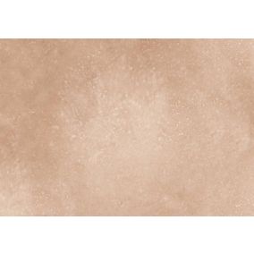 Carrelage Terre cuite Aspdini beige rectangulaire 44x66 cm