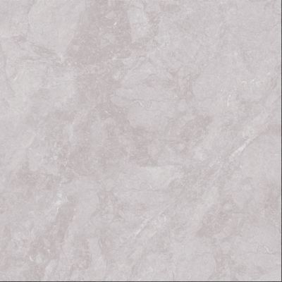 Carrelage Titanium Silver - Mat 90 x 90cm  ( vendu par boite de  1,62 m² )