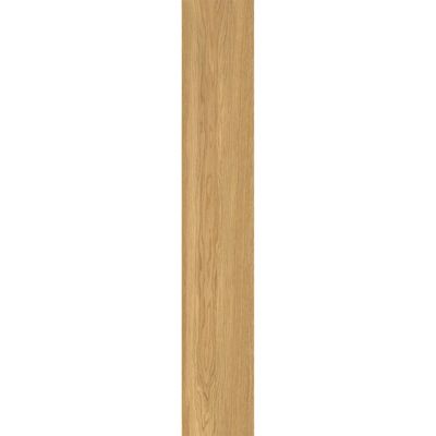 Carrellage Grès Cérame Italien Effet Bois Moderne Élégant Caramel Antidérapant 20X120 - EWCL1679