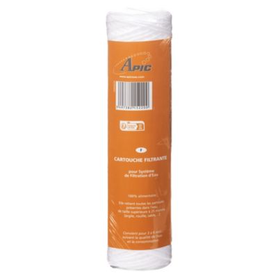 Cartouche filtrante 25 microns Apic pour particules en suspension